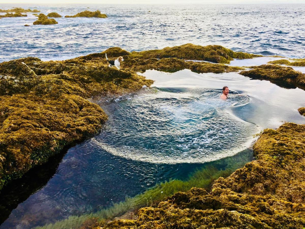 Sea Roots "Garden Zone " Villa Mosteiros  Exterior photo